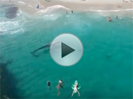 Cet homme est allé trop loin avec ce mannequin en bikini, elle le frappe en direct